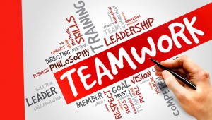 Because Teamwork makes the Dreamwork